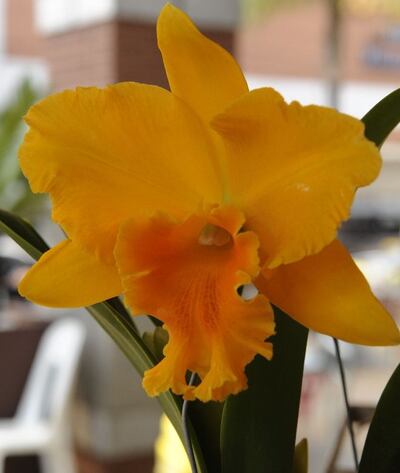 Imagen sin descripción