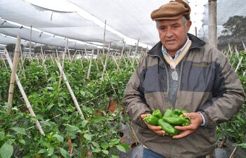 horticultor-es-un-ejemplo-de-trabajo-y-perseverancia-221020000000-591734.jpg