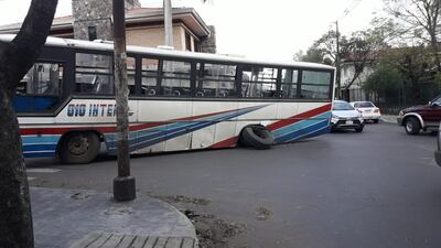 colectivo chatarra