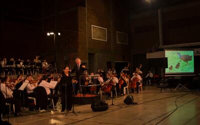 La OSCA presenta hoy su concierto dedicado a las aves en Trinidad.