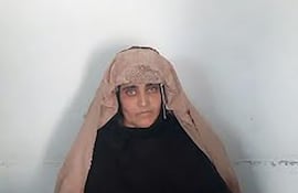 sharbat-gula-95856000000-1518286.JPG