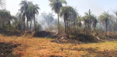Bomberos buscan sofocar las llamas.