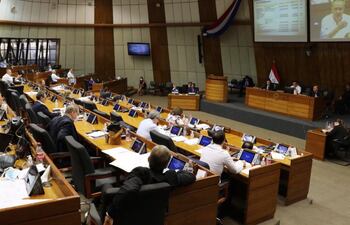 Los senadores analizaron ayer el proyecto de Ley de Emergencia en una prolongada sesión, iniciada en horas de la mañana y que hasta el cierre de nuestra edición continuaba, para dar la media sanción correspondiente.