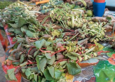 Ministerio de Salud recomendó sobre yuyos medicinales