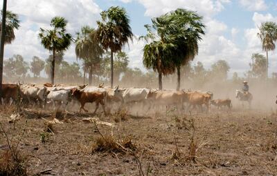 /pf/resources/images/abc-placeholder.png?d=2393