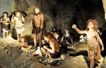 recreacion-de-un-campamento-neandertal-neanderthal-museum-en-krapina-croacia--213618000000-1536083.jpg
