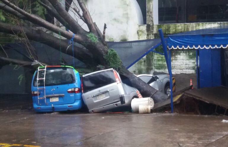 /pf/resources/images/abc-placeholder.png?d=2429