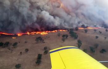 En Sídney, las personas buscan refugio en las playas debido a los incendios