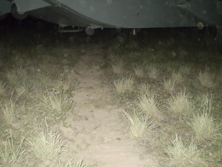 El avión que trasladaba a Tacuary terminó entre los matorrales del aeropuerto después del accidente.