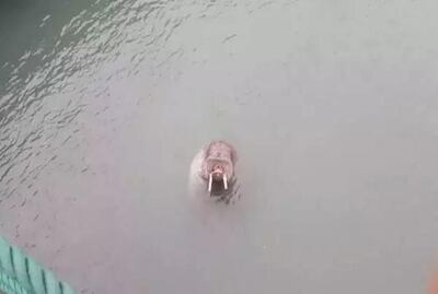 /pf/resources/images/abc-placeholder.png?d=2425