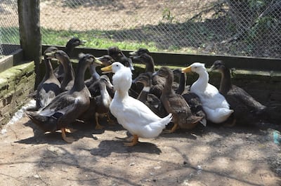 /pf/resources/images/abc-placeholder.png?d=2393