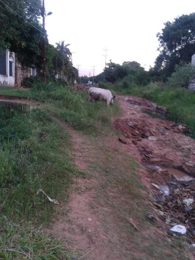 /pf/resources/images/abc-placeholder.png?d=2420