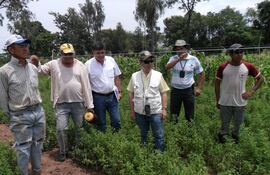 sigue-ayuda-de-italianos-a-campesinos-de-misiones-en-el-2013-232536000000-508868.JPG
