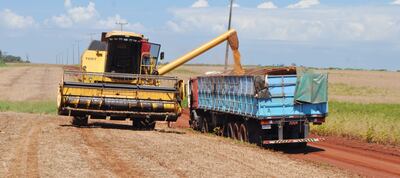 En varias zonas del país los productores ya empezaron la cosecha, la fe esta puesta en lograr buenos rendimientos.
Algunos productores piensan en sembrar nuevamente soja tras cosechar soja, y en este artículo les hablamos por qué agronómicamente no se recomienda esta práctica