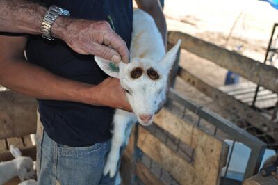 /pf/resources/images/abc-placeholder.png?d=2425