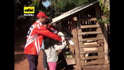 /pf/resources/images/abc-placeholder.png?d=2425