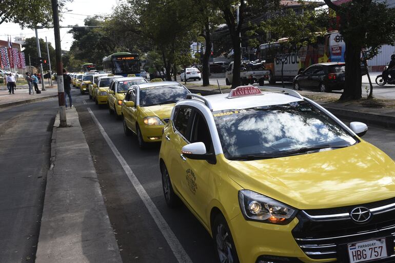 Taxis taxistas enjambre amarillo