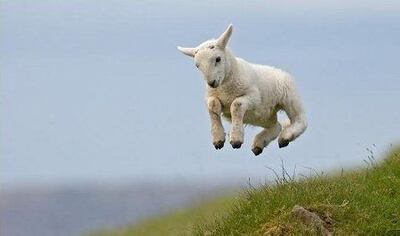 /pf/resources/images/abc-placeholder.png?d=2393