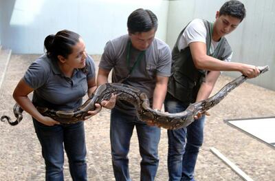 Imagen sin descripción