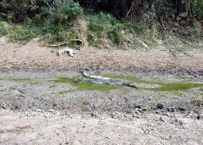 /pf/resources/images/abc-placeholder.png?d=2399