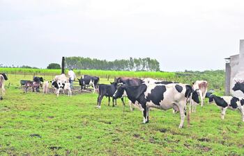 finca-diversificada-y-sostenible-105346000000-1325671.JPG