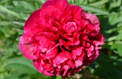 /pf/resources/images/abc-placeholder.png?d=2395