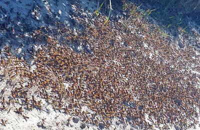 /pf/resources/images/abc-placeholder.png?d=2394