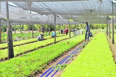 /pf/resources/images/abc-placeholder.png?d=2421