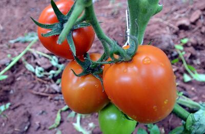 /pf/resources/images/abc-placeholder.png?d=2419