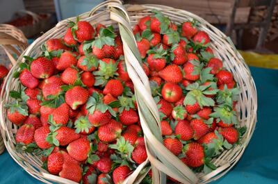 /pf/resources/images/abc-placeholder.png?d=2394