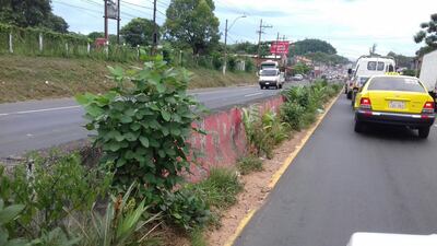 /pf/resources/images/abc-placeholder.png?d=2398