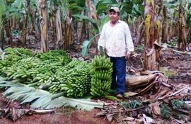 bananeros-de-tembiapora-logran-venta-continua-de-sus-productos-130045000000-1425732.jpg