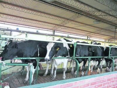 /pf/resources/images/abc-placeholder.png?d=2421