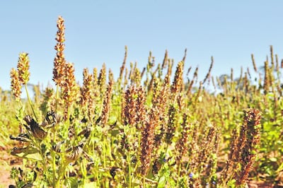 /pf/resources/images/abc-placeholder.png?d=2394