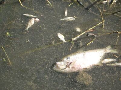 /pf/resources/images/abc-placeholder.png?d=2425