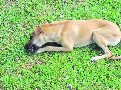 /pf/resources/images/abc-placeholder.png?d=2425