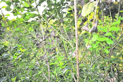 /pf/resources/images/abc-placeholder.png?d=2398