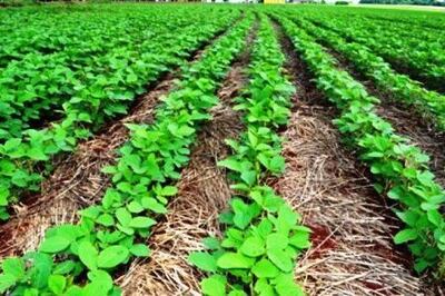 /pf/resources/images/abc-placeholder.png?d=2420