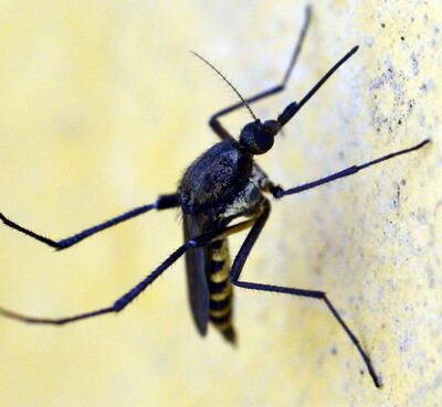 /pf/resources/images/abc-placeholder.png?d=2398