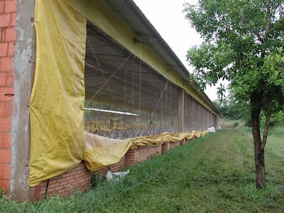 Imagen sin descripción