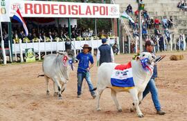 desfile-de-animales-durante-la-inauguracion-de-la-expo-isla-poi-la-muestra-concluye-esta-tarde-con-una-serie-de-actividades--195836000000-1470291.jpg