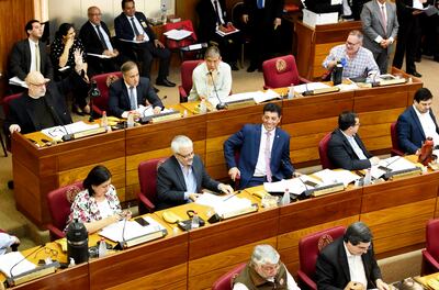 El pleno del Senado aceptó el veto del Ejecutivo a la ley “Ñane Energía”, con críticas al oficialismo.