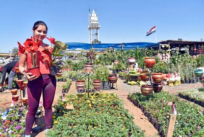 En la entrada del Abasto Norte está el nuevo vivero Vida Floral, con una amplia variedad de ofertas de plantas.