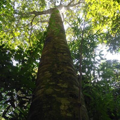 /pf/resources/images/abc-placeholder.png?d=2410