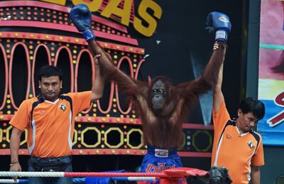 /pf/resources/images/abc-placeholder.png?d=2395