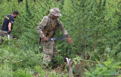 /pf/resources/images/abc-placeholder.png?d=2428