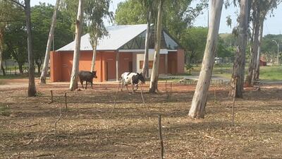 Imagen sin descripción