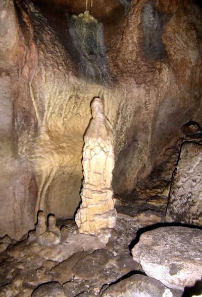 Imagen sin descripción