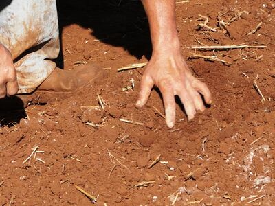 Se debe cuidar el suelo productivo.