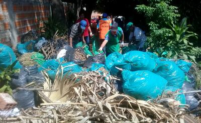 Las bolsas de basura también pueden convertirse en reservorios de agua y criaderos de mosquitos. Por eso hay que proceder a su eliminación si están en la intemperie.